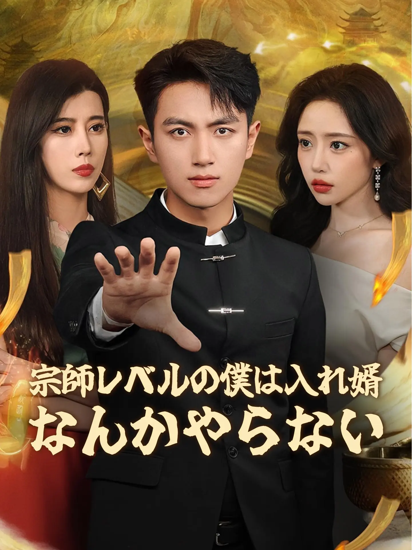宗師レベルの僕は入れ婿なんかやらない short drama poster