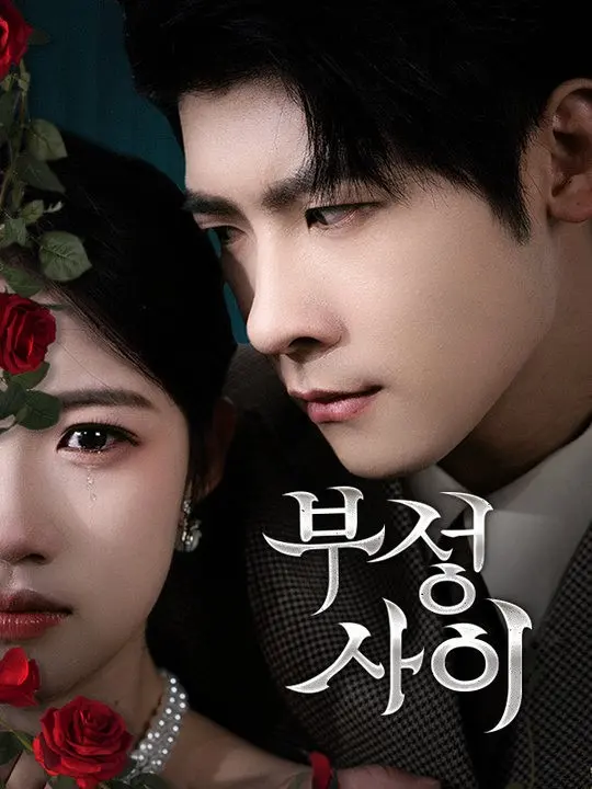 부정 사이 short drama poster