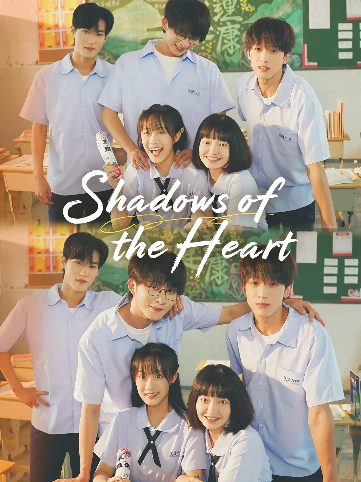 Shadows of the Heart short drama poster