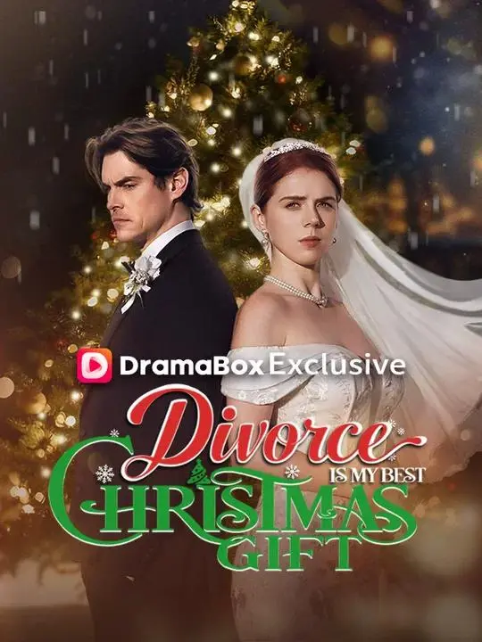 Divorce Is My Best Christmas Gift short drama poster