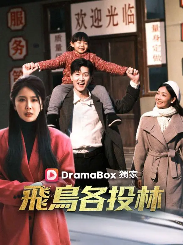 飛鳥各投林 short drama poster