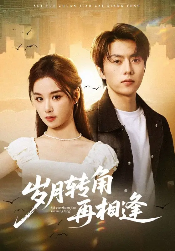 半生風雨，半生晴 short drama poster