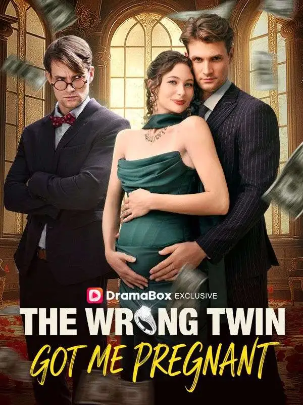 The Wrong Twin Got Me Pregnant short drama poster