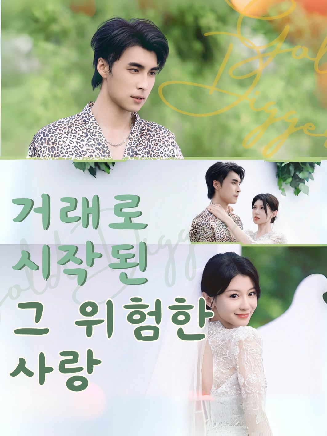 거래로 시작된, 그 위험한 사랑 short drama poster