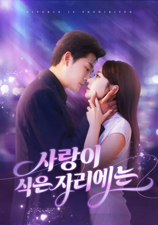 사랑이 식은 자리에는(더빙) short drama poster