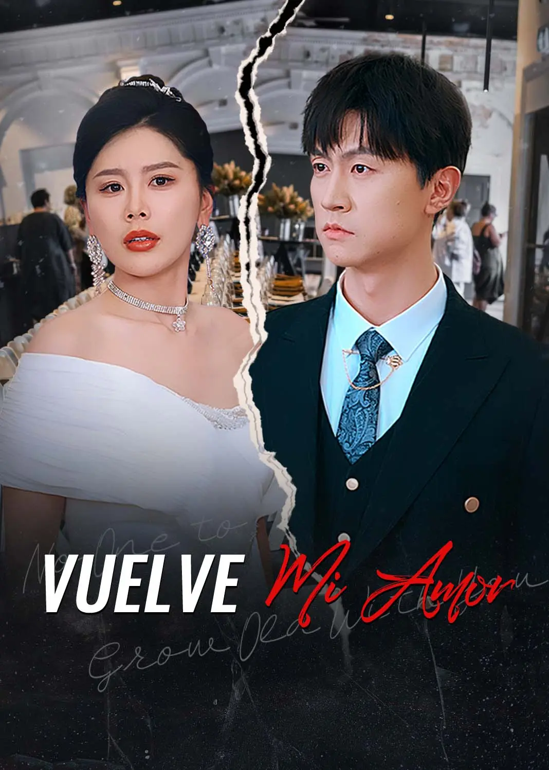 无人与你共白头 short drama poster
