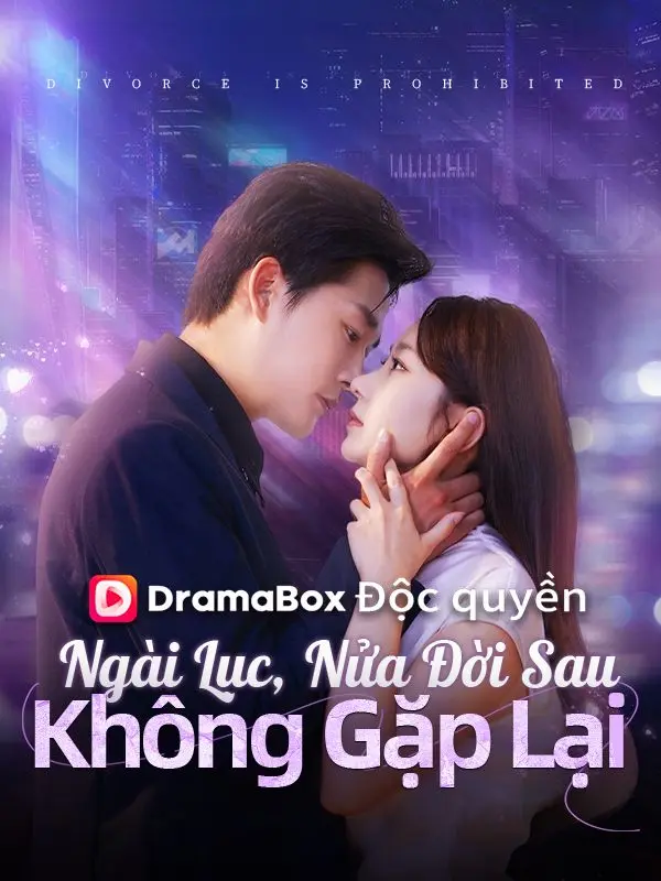 Ngài Lục, Nửa Đời Sau Không Gặp Lại short drama poster
