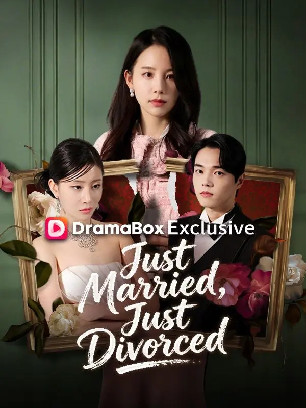 Just Married, Just Divorced short drama poster
