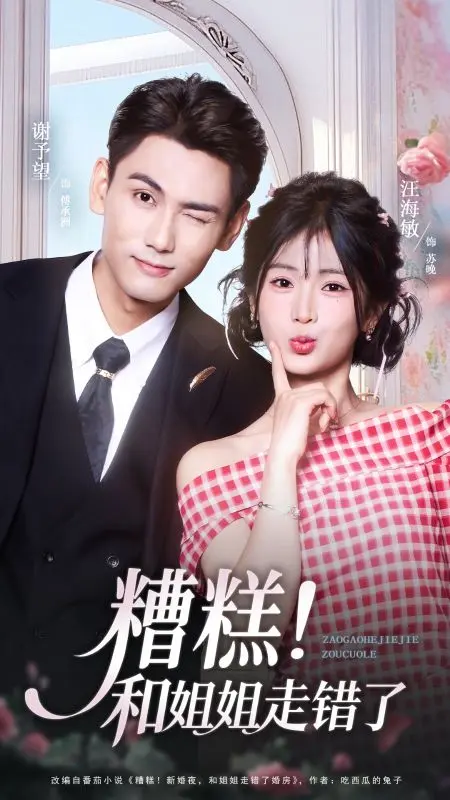 新婚夜，我和姐姐互換新郎 short drama poster