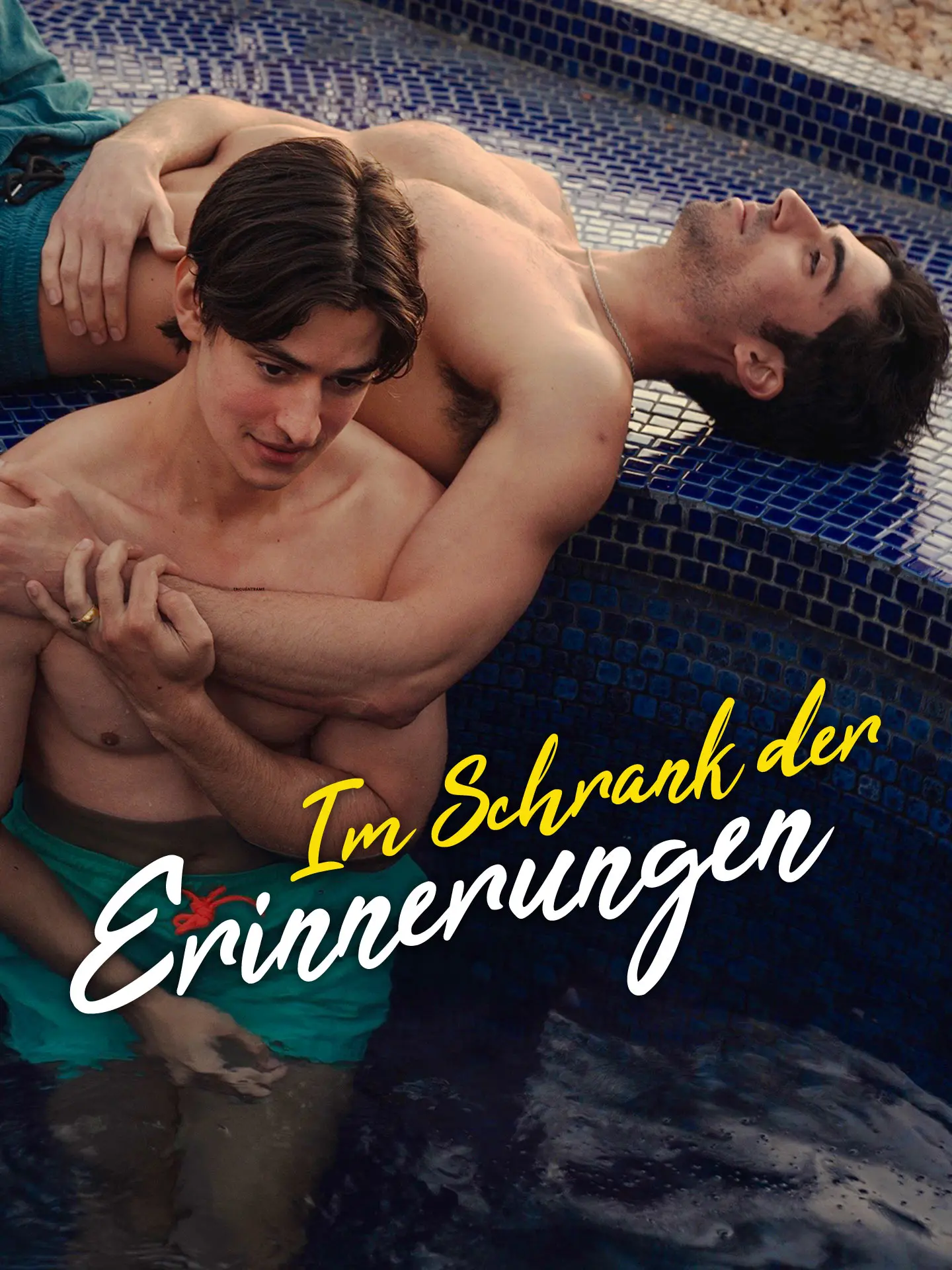 Im Schrank der Erinnerungen short drama poster