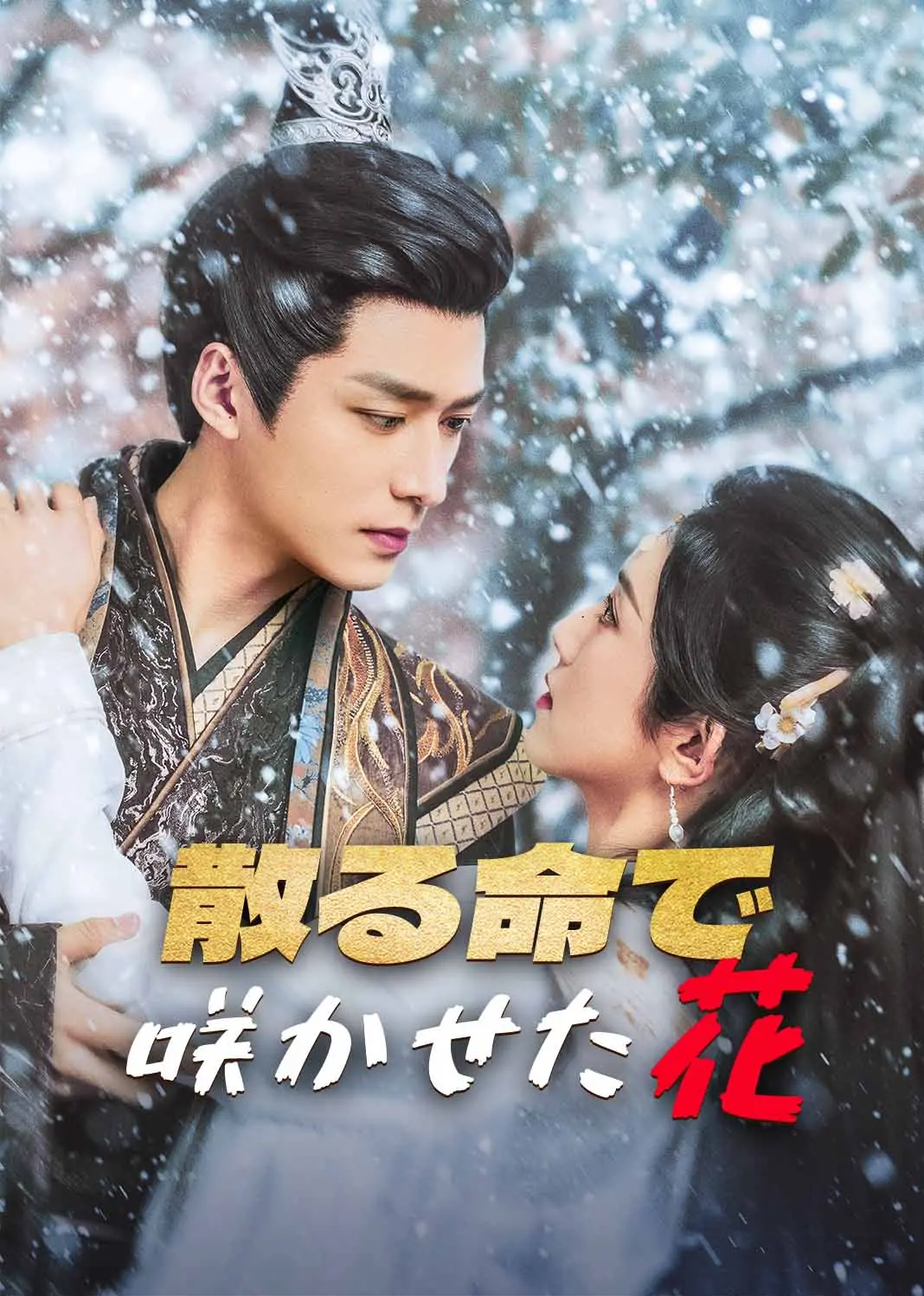 错把山河葬相思 short drama poster