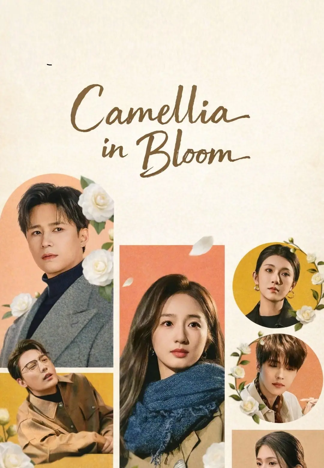 Camellia in Bloom short drama poster