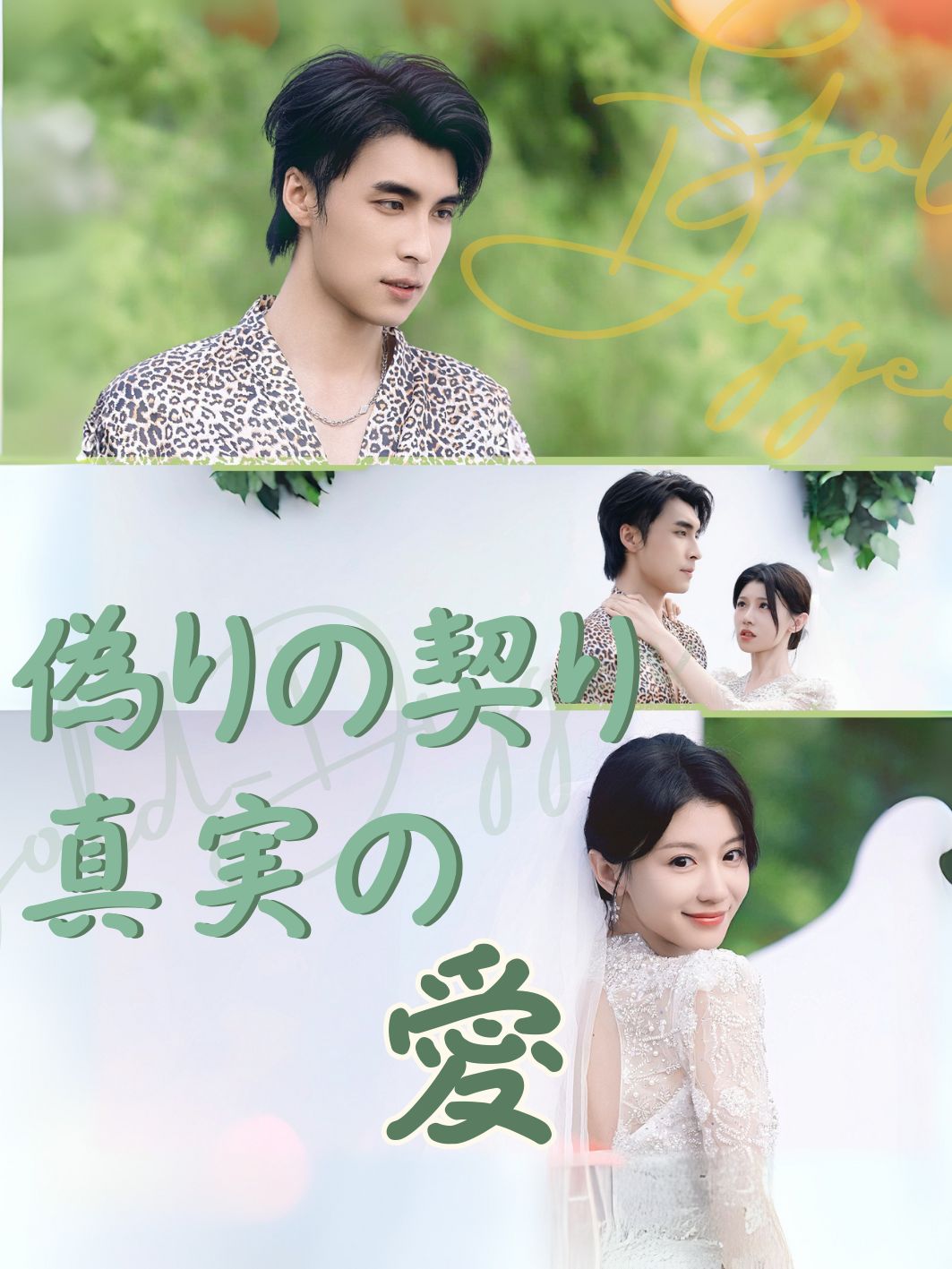 偽りの契り、真実の愛 short drama poster