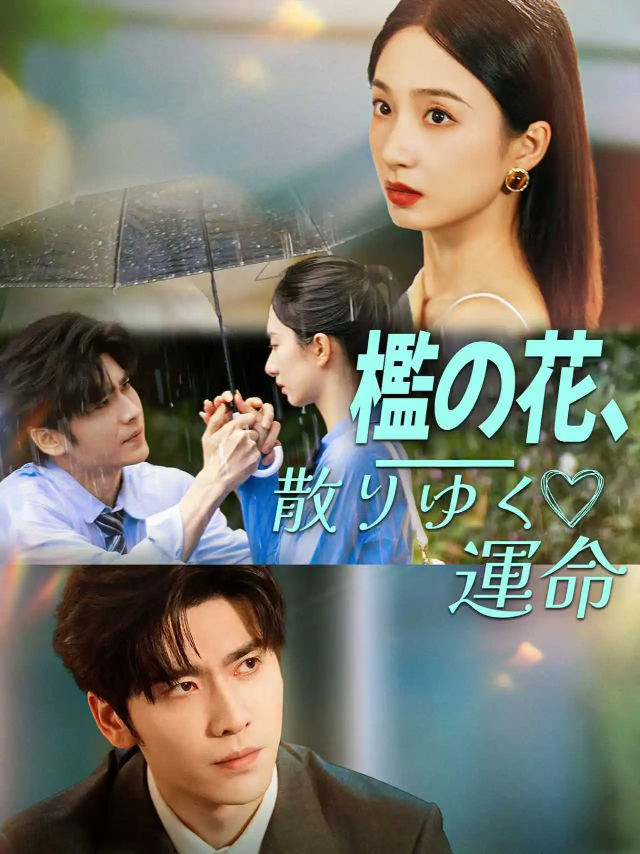城南的花开了，你还走吗 short drama poster