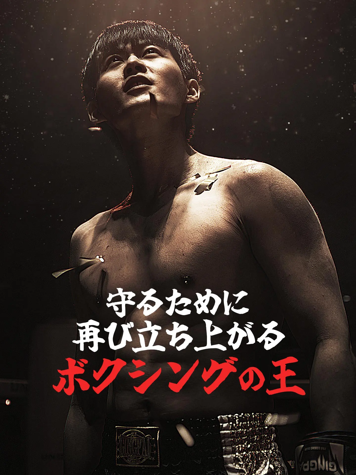 守るために、再び立ち上がるボクシングの王 short drama poster