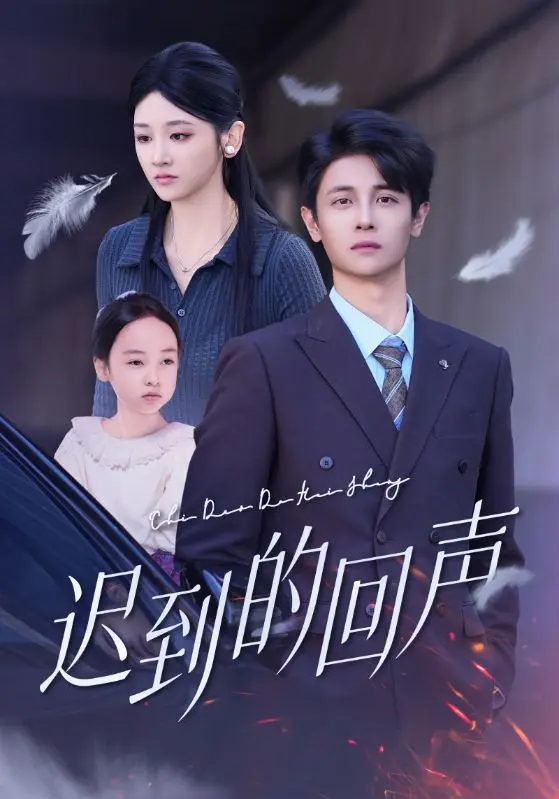 回聲落地恨已晚 short drama poster