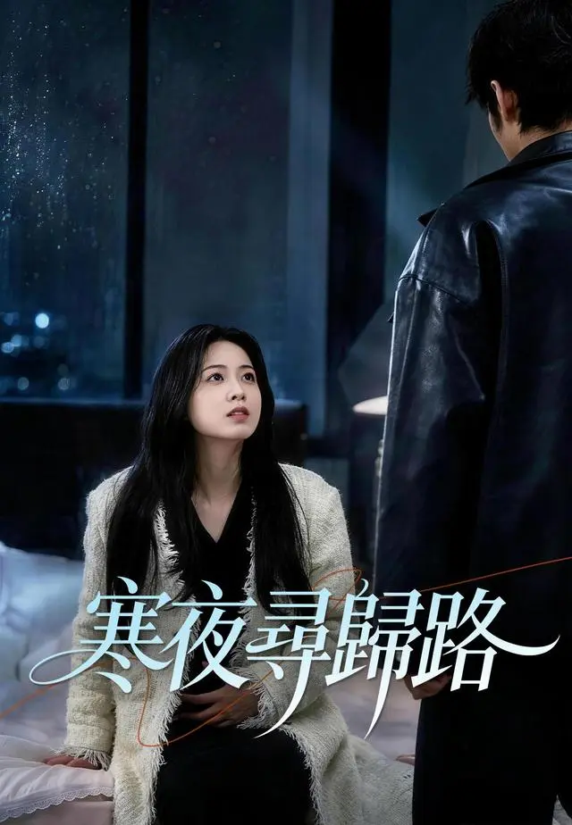 寒夜尋歸路 short drama poster