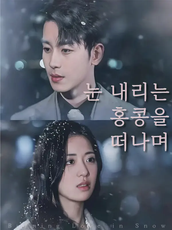 눈 내리는 홍콩을 떠나며 short drama poster