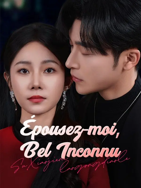 Épousez-moi, Bel Inconnu ( Doublé ) short drama poster