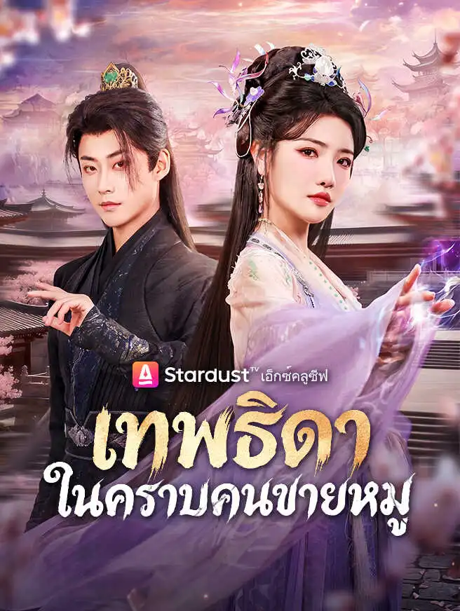เทพธิดาในคราบคนขายหมู short drama poster