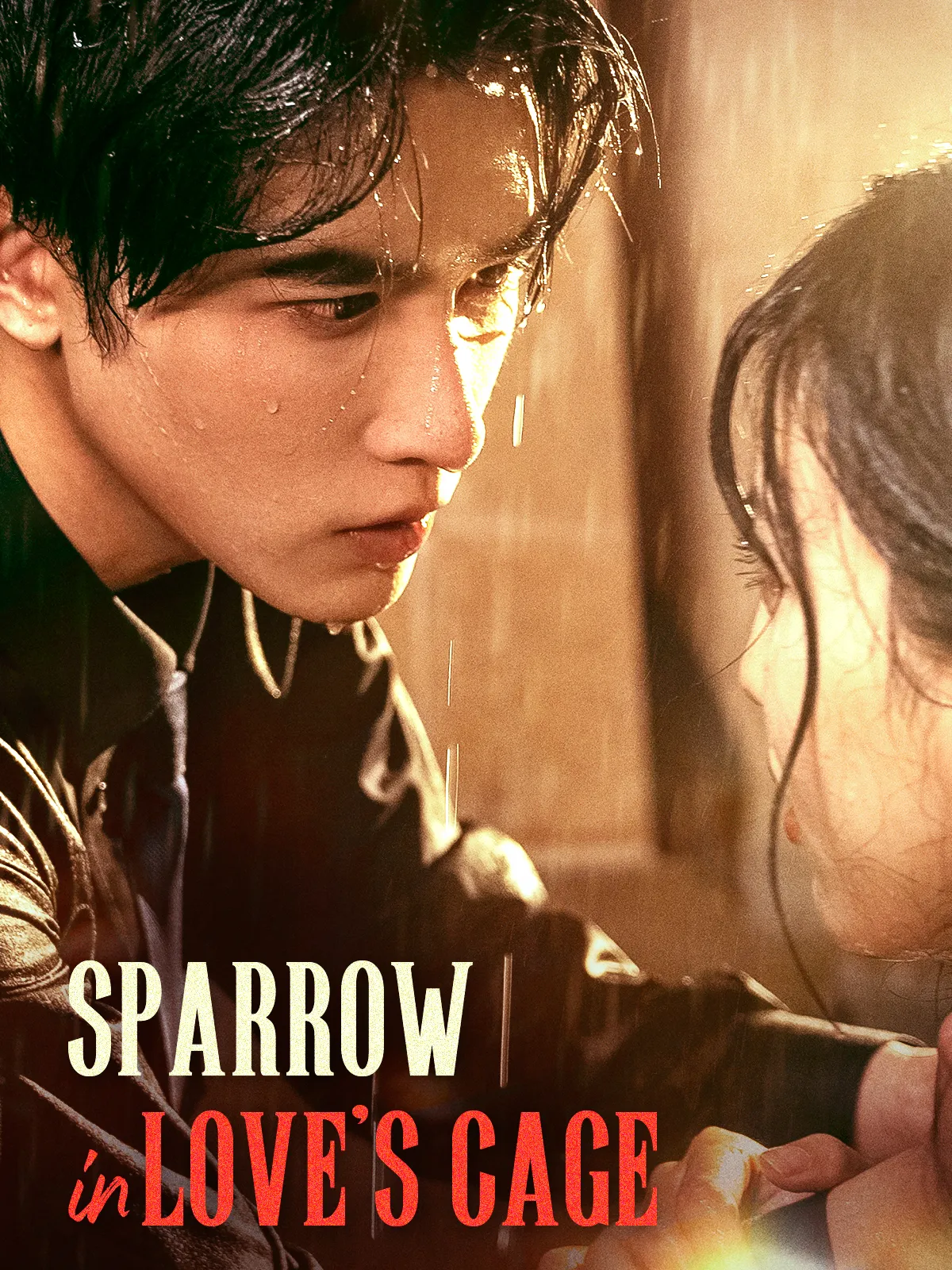 Sparrow in Love's Cage short drama poster