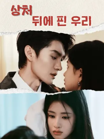 상처 뒤에 핀 우리 short drama poster